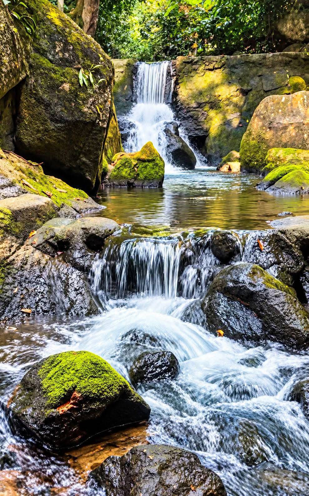 Magic-Garden-Samui-Ta-Nim-Waterfall-2 Tarnim Magic Garden Koh Samui – Discover the Magical Tan Nim Waterfall