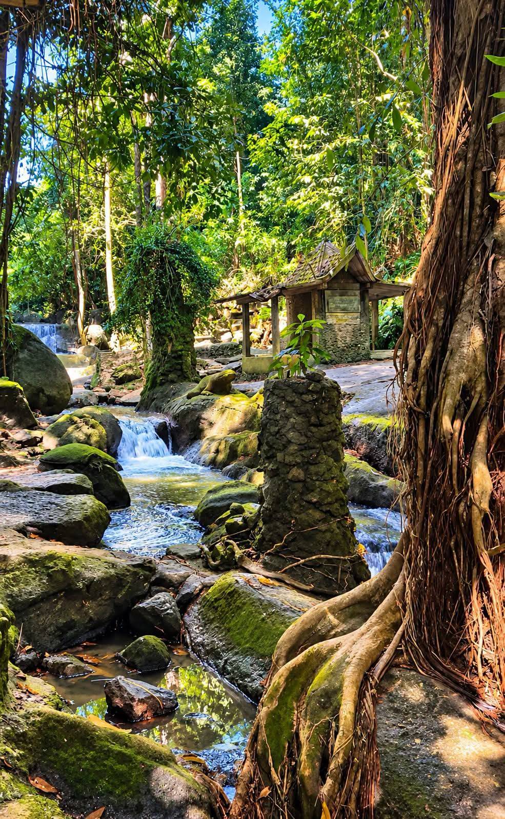 Magic-Garden-Samui-Ta-Nim-Waterfall-3 Tarnim Magic Garden Koh Samui – Discover the Magical Tan Nim Waterfall