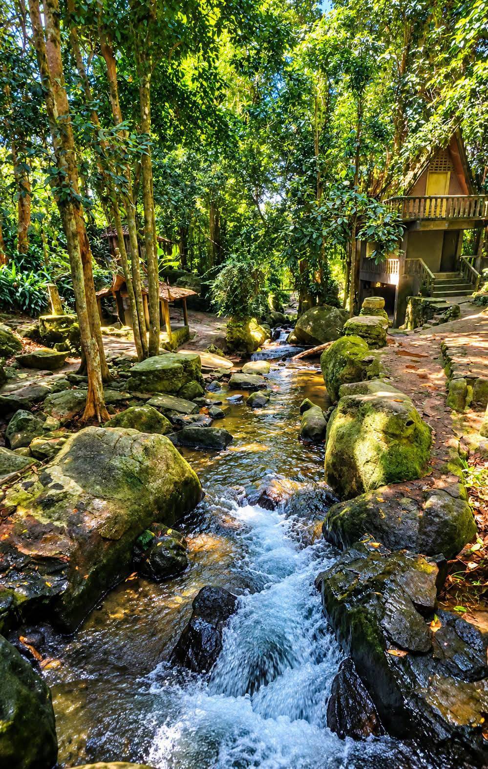 Magic-Garden-Samui-Ta-Nim-Waterfall-4 Tarnim Magic Garden Koh Samui – Discover the Magical Tan Nim Waterfall